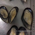 Cozze mezzo guscio surgelate